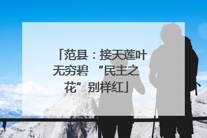 范县：接天莲叶无穷碧 “民主之花”别样红