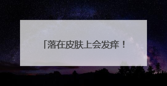 落在皮肤上会发痒！普吉一个家具厂附近发现不明絮状纤维物