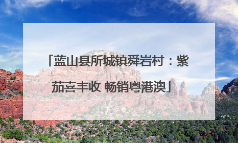 蓝山县所城镇舜岩村：紫茄喜丰收 畅销粤港澳