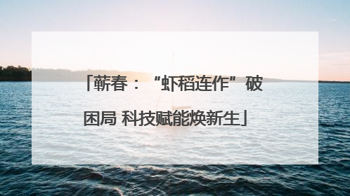 蕲春：“虾稻连作”破困局 科技赋能焕新生