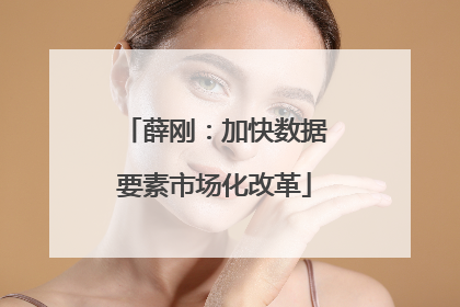 薛刚：加快数据要素市场化改革