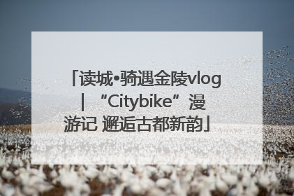 读城•骑遇金陵vlog｜“Citybike”漫游记 邂逅古都新韵