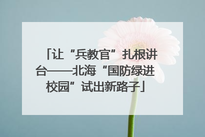 让“兵教官”扎根讲台——北海“国防绿进校园”试出新路子