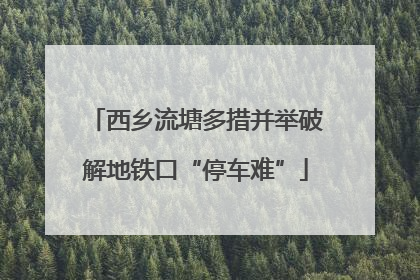 西乡流塘多措并举破解地铁口“停车难”