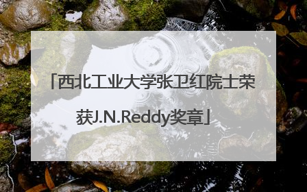 西北工业大学张卫红院士荣获J.N.Reddy奖章