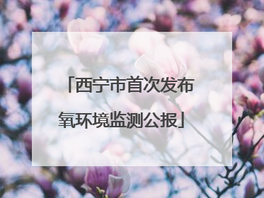 西宁市首次发布氧环境监测公报