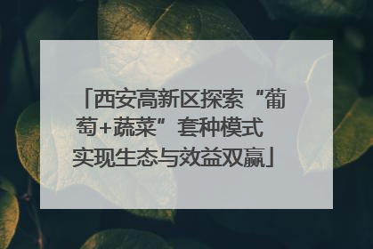 西安高新区探索“葡萄+蔬菜”套种模式 实现生态与效益双赢