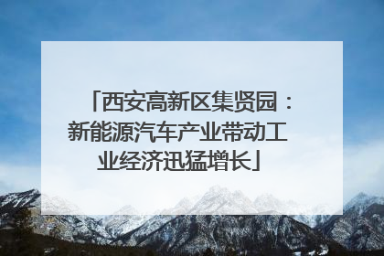 西安高新区集贤园：新能源汽车产业带动工业经济迅猛增长