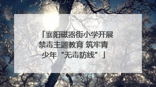 襄阳磁器街小学开展禁毒主题教育 筑牢青少年“无毒防线”