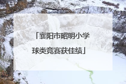 襄阳市昭明小学球类竞赛获佳绩