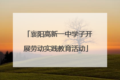 襄阳高新一中学子开展劳动实践教育活动