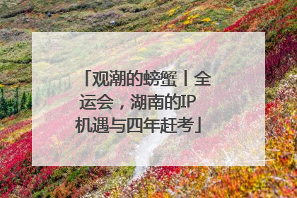 观潮的螃蟹丨全运会，湖南的IP机遇与四年赶考
