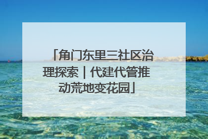 角门东里三社区治理探索｜代建代管推动荒地变花园