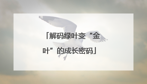 解码绿叶变“金叶”的成长密码