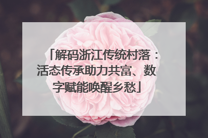 解码浙江传统村落：活态传承助力共富、数字赋能唤醒乡愁