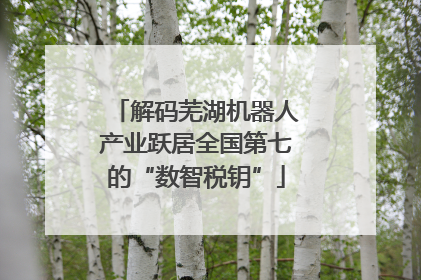 解码芜湖机器人产业跃居全国第七的“数智税钥”