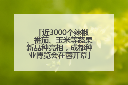 近3000个辣椒、番茄、玉米等蔬果新品种亮相，成都种业博览会在蓉开幕