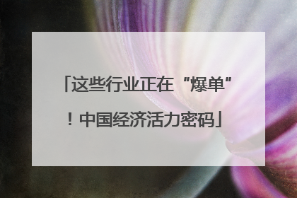 这些行业正在“爆单”！中国经济活力密码