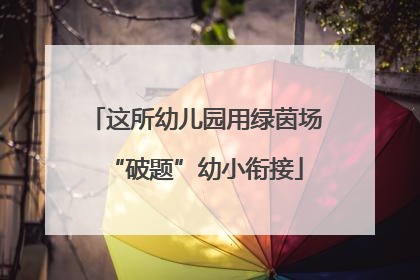 这所幼儿园用绿茵场“破题”幼小衔接