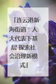连云港新海街道：人大代表下基层 探索社会治理新模式