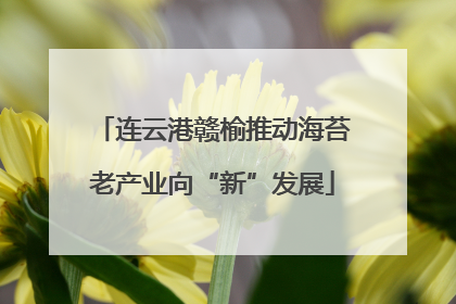 连云港赣榆推动海苔老产业向“新”发展