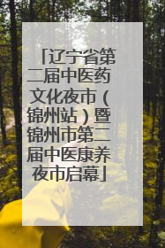 辽宁省第二届中医药文化夜市（锦州站）暨锦州市第二届中医康养夜市启幕