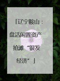 辽宁鞍山：盘活闲置资产 抢滩“银发经济”