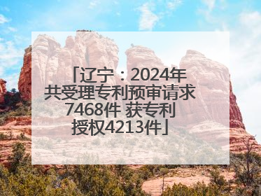 辽宁：2024年共受理专利预审请求7468件 获专利授权4213件