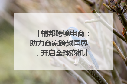 辅邦跨境电商：助力商家跨越国界，开启全球商机