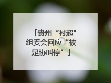 贵州“村超”组委会回应“被足协叫停”