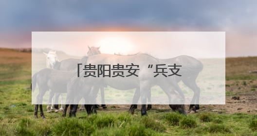 贵阳贵安“兵支书”学习能力提升培训班开班