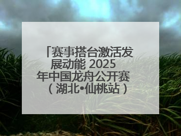 赛事搭台激活发展动能 2025年中国龙舟公开赛（湖北•仙桃站）燃情开赛