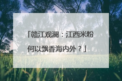 赣江观澜：江西米粉何以飘香海内外？