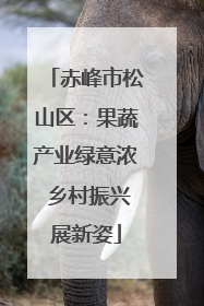赤峰市松山区：果蔬产业绿意浓 乡村振兴展新姿