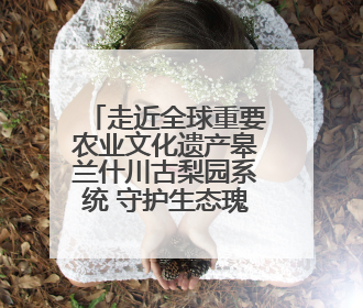 走近全球重要农业文化遗产皋兰什川古梨园系统 守护生态瑰宝 激活发展动能