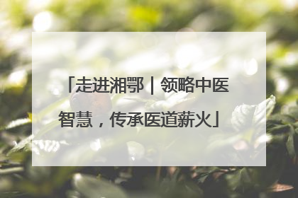 走进湘鄂｜领略中医智慧，传承医道薪火