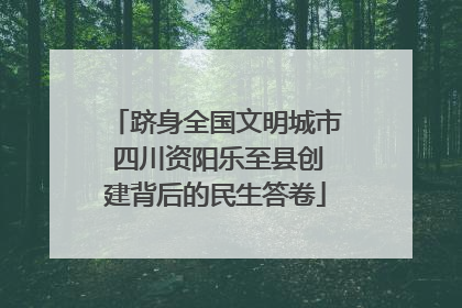 跻身全国文明城市 四川资阳乐至县创建背后的民生答卷
