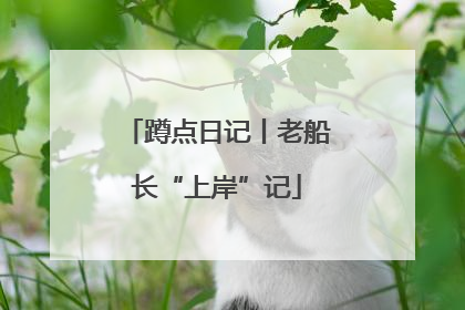 蹲点日记丨老船长“上岸”记