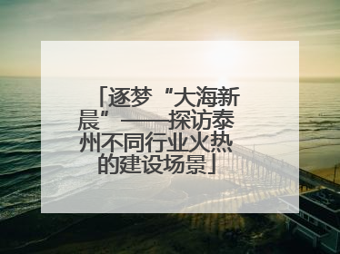 逐梦“大海新晨”——探访泰州不同行业火热的建设场景