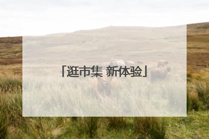 逛市集 新体验