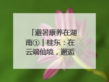避暑康养在湖南①｜桂东：在云端仙境，邂逅一场清凉之约