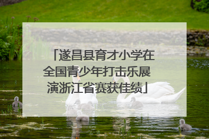 遂昌县育才小学在全国青少年打击乐展演浙江省赛获佳绩
