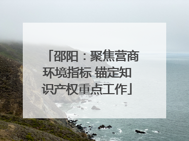 邵阳：聚焦营商环境指标 锚定知识产权重点工作