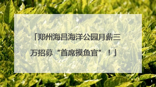 郑州海昌海洋公园月薪三万招募“首席摸鱼官”！
