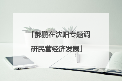 郝鹏在沈阳专题调研民营经济发展