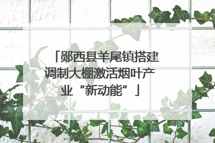 郧西县羊尾镇搭建调制大棚激活烟叶产业“新动能”