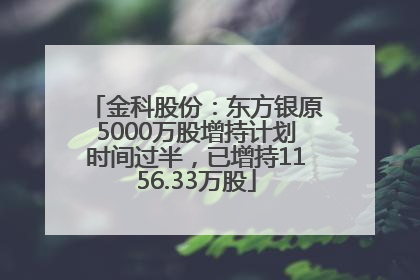 金科股份：东方银原5000万股增持计划时间过半，已增持1156.33万股