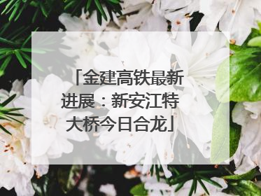 金建高铁最新进展：新安江特大桥今日合龙