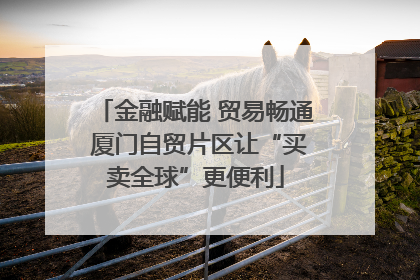 金融赋能 贸易畅通 厦门自贸片区让“买卖全球”更便利
