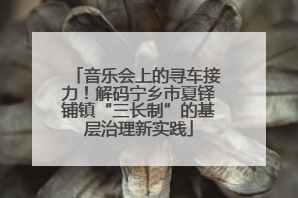 音乐会上的寻车接力！解码宁乡市夏铎铺镇“三长制”的基层治理新实践